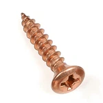 สกรูโลหะแผ่นทองแดง